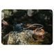 Трехконфорочная газовая горелка Naturehike CNK2450CF019 6975641889045 фото 4