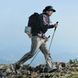 Трекінгова палиця Naturehike CNK2450DS016, 120 см, сіра 6927595791721 фото 2