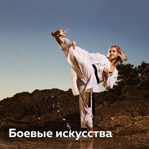 Товары для боевых искусств