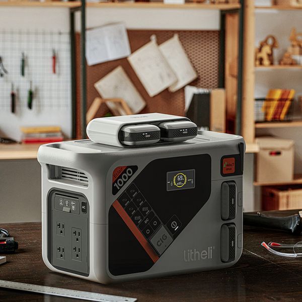 Зарядний пристрій для двох Power Bank Litheli U20 U20CR00-0A000 фото